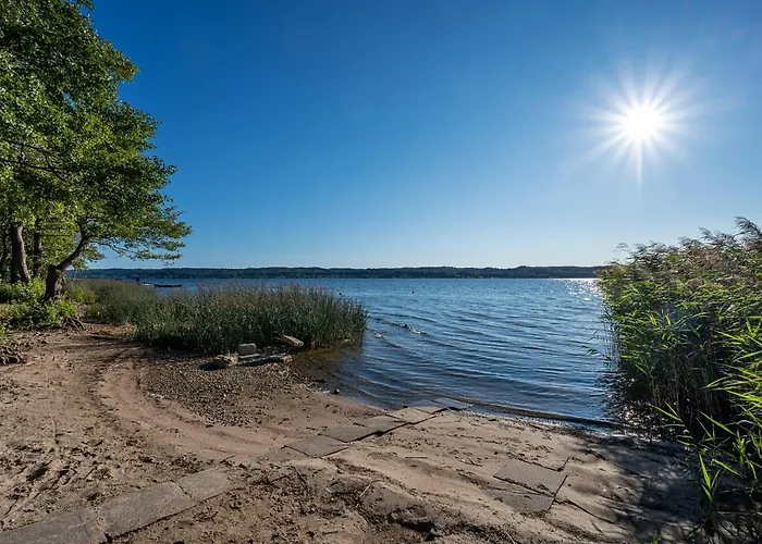 Деревянный коттедж Holliday *